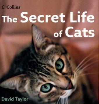 The Secret Life of Cats - David Taylor