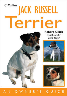 Jack Russell Terrier - Robert Killick