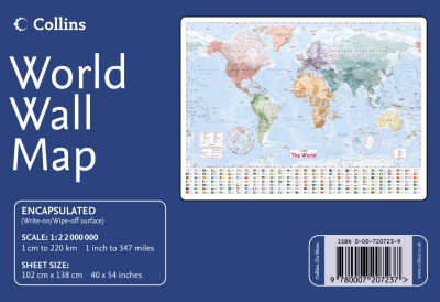 World Wall Map