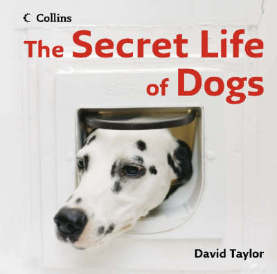 The Secret Life of Dogs - David Taylor