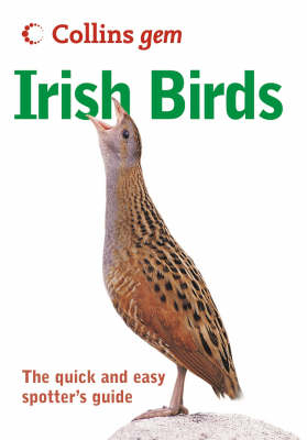 Irish Birds - David Cabot