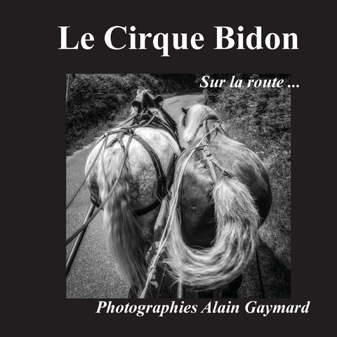 Le cirque Bidon - Alain Gaymard