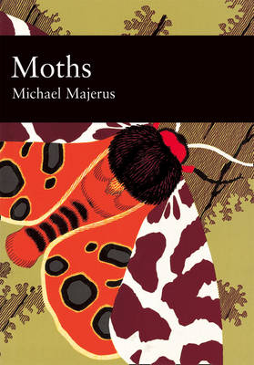 Moths - M.E.N. Majerus