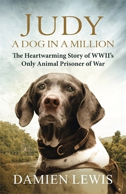 Judy: A Dog in a Million - Damien Lewis