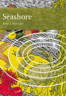 Seashore - Peter Hayward