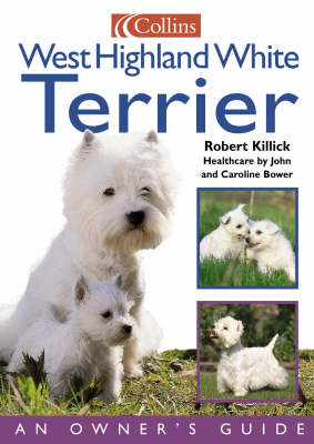 West Highland White Terrier - Robert Killick