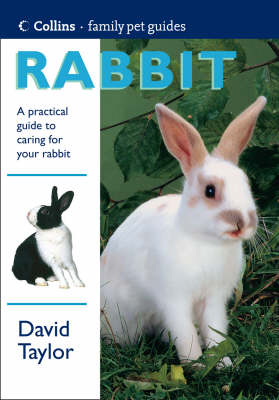 Rabbit - David Taylor
