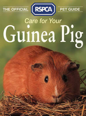 Care for Your Guinea Pig - Tina Hearne