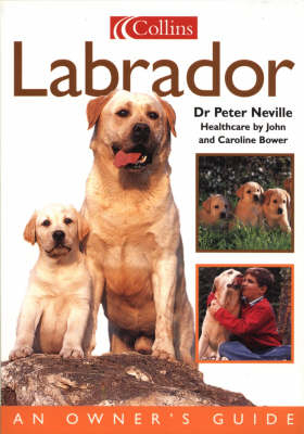Labrador - Mr. Peter R. Neville