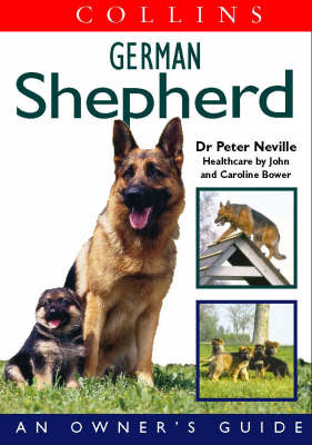 German Shepherd - Mr. Peter R. Neville