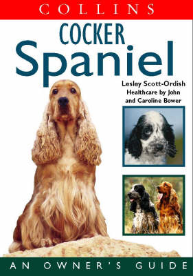 Cocker Spaniel - Lesley Scott-Ordish