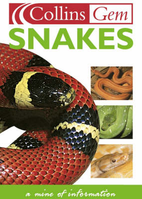 Snakes - Chris Mattison