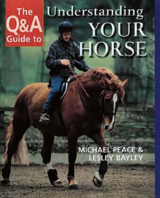 The Q&A Guide to Understanding Your Horse