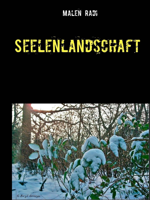 Seelenlandschaft -  Malen Radi