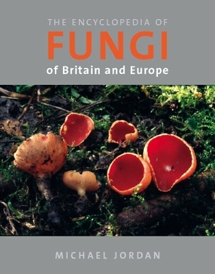 The Encyclopedia of Fungi of Britain and Europe - Michael Jordan