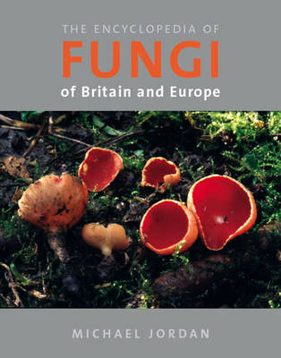 Encyclopedia of Fungi of Britain and Europe - Michael Jordan