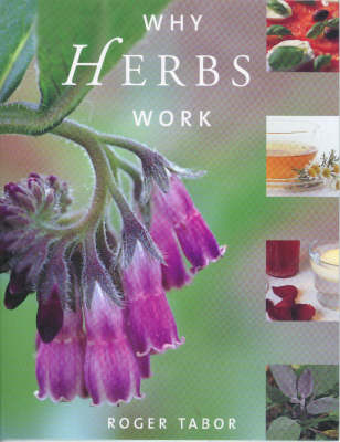 Why Herbs Work - Roger Tabor