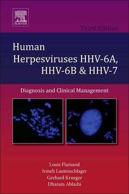 Human Herpesviruses HHV-6A, HHV-6B and HHV-7 - 