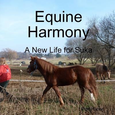 EQUINE HARMONY A New Life for Suka - Patti Huber