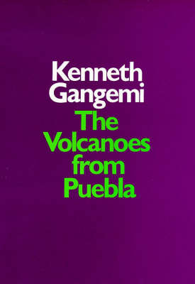 The Volcanoes from Puebla - Kenneth Gangemi