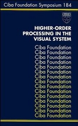 Higher-Order Processing in the Visual System - 