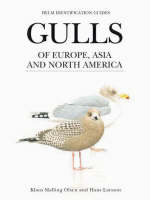 Gulls of Europe, Asia and North America - Klaus Malling Olsen