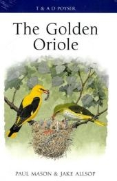 The Golden Oriole - Paul Mason, Jake Allsop