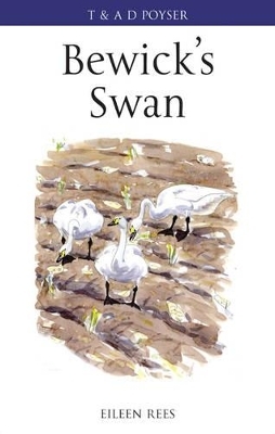 Bewick's Swan - Eileen Rees