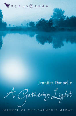 A Gathering Light - Jennifer Donnelly
