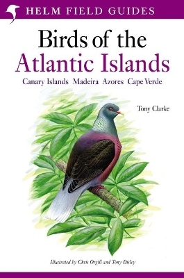 Field Guide to the Birds of the Atlantic Islands - Mr Tony Clarke