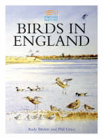 Birds in England - Andy Brown, Phil Grice