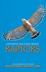 A Photographic Guide to North American Raptors - Brian K. Wheeler, William S. Clark