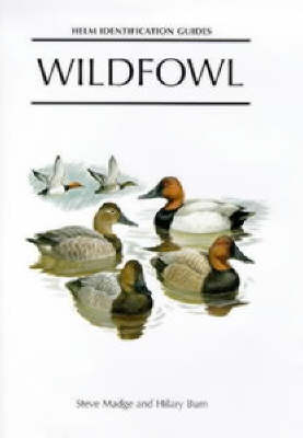 Wildfowl - Steve Madge, Hilary Burn