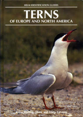 Terns of Europe and North America - Hans Larsson, Klaus Malling Olsen