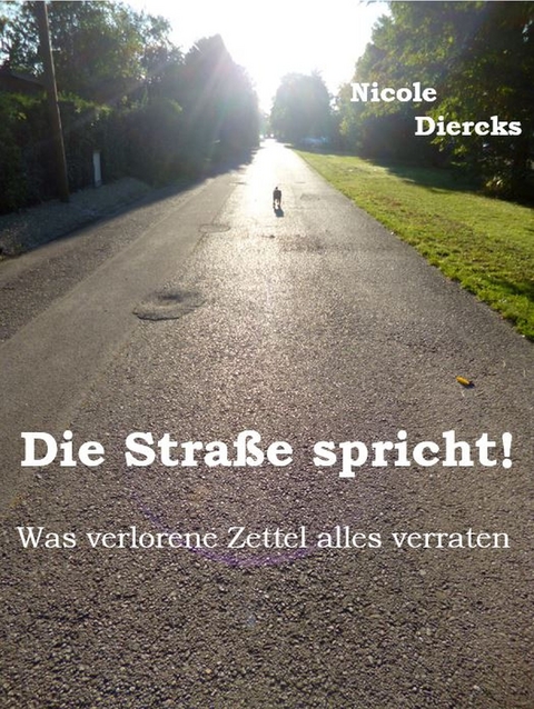 Die Straße spricht! - Nicole Diercks