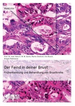 Der Feind in deiner Brust - Hans E. W. W. Sachs, Kim Busch, Martin Smollich, Dragan Radosavac