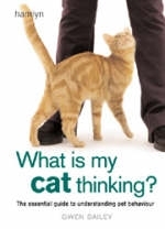 What is my Cat Thinking? - Gwen Bailey