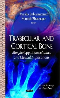 Trabecular & Cortical Bone - 