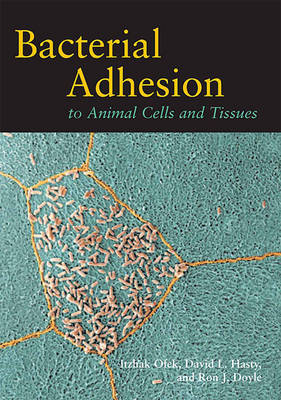 Bacterial Adhesion to Animal Cells and Tissues - Itzhak Ofek, David L Hasty, Ron J Doyle