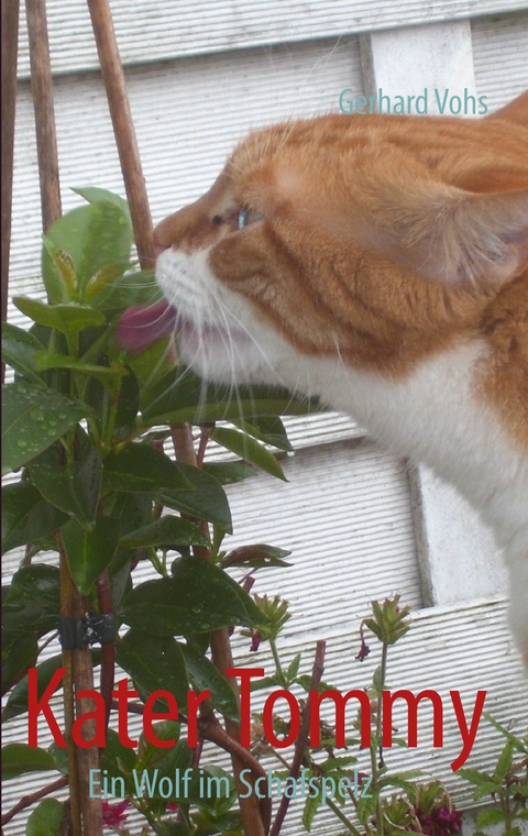 Kater Tommy - Gerhard Vohs