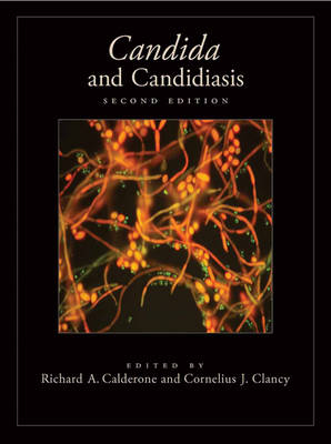 Candida and Candidiasis - Richard Calderone, Cornelius J Clancy