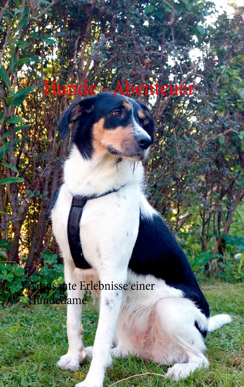 Hunde - Abenteuer - C.M. Groß