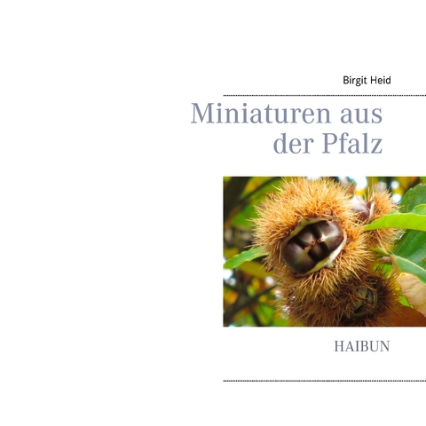 Miniaturen aus der Pfalz - Birgit Heid