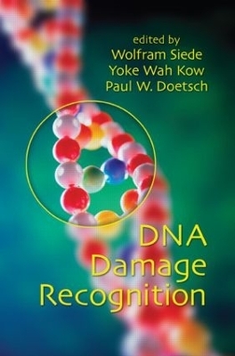 DNA Damage Recognition - 