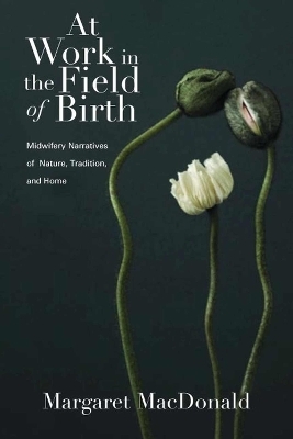 At Work in the Field of Birth - Margaret MacDonald