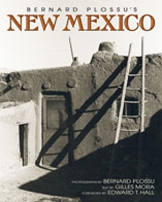 Bernard Plossu's New Mexico - 