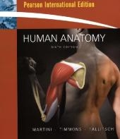 Human Anatomy - Frederic H. Martini, Michael J. Timmons, Robert B. Tallitsch