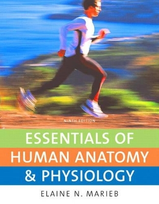 Essentials of Human Anatomy & Physiology with Essentials of InterActive Physiology CD-ROM - Elaine N. Marieb