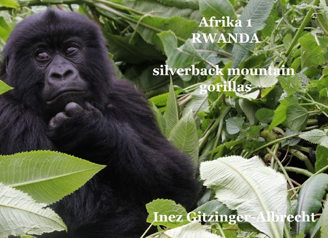 Afrika 1 Ruanda - Inez Gitzinger-Albrecht