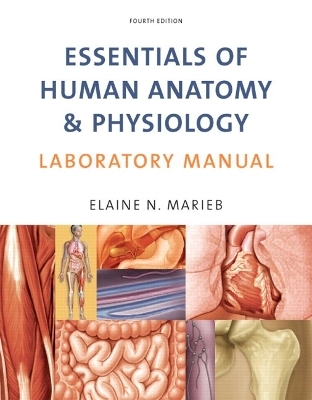 Essentials of Human Anatomy & Physiology Laboratory Manual - Elaine N. Marieb